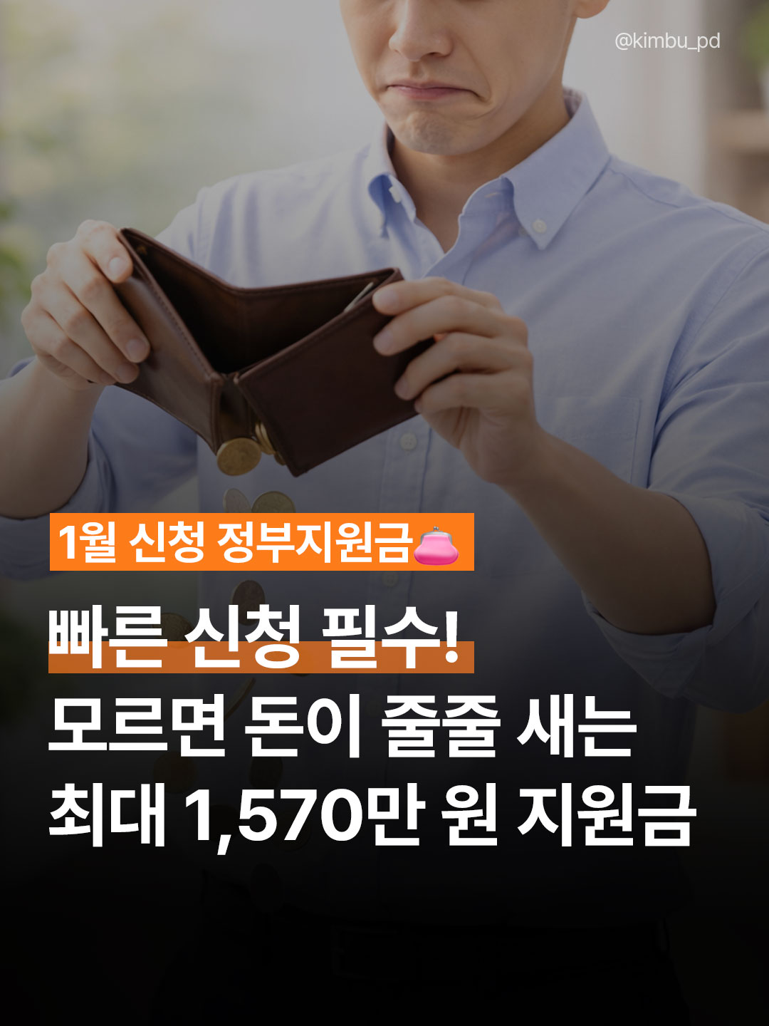 정부지원금